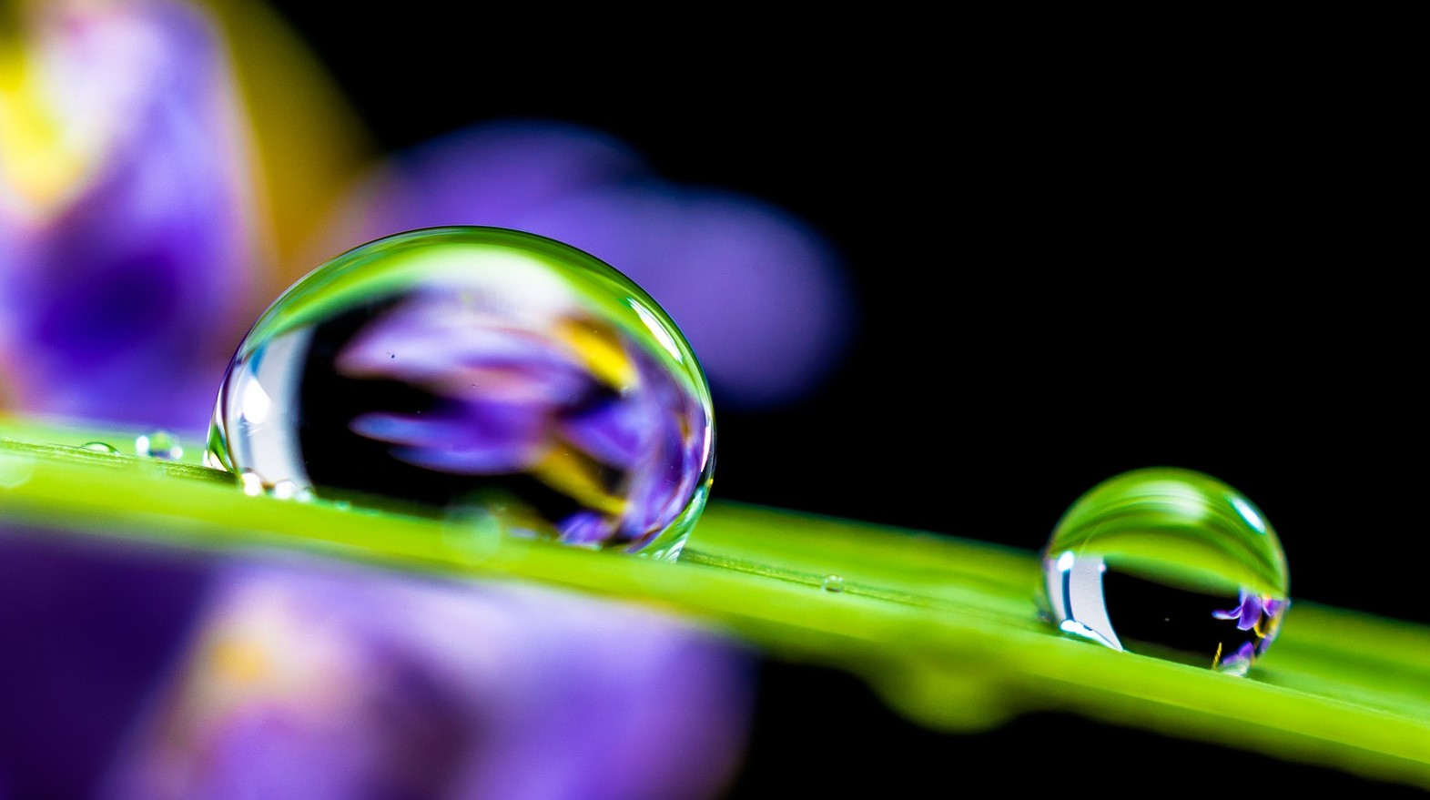 Read more about the article Thirsty? Why Wait?